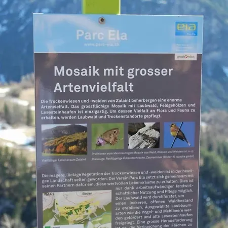 Blick Auf Herrliche Bergwelt Schmitten (Grisons)